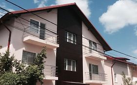 Camere de inchiriat CASA PRINTESA